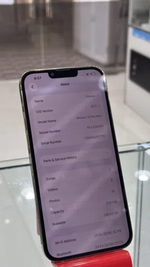 iPhone 13 Pro Max