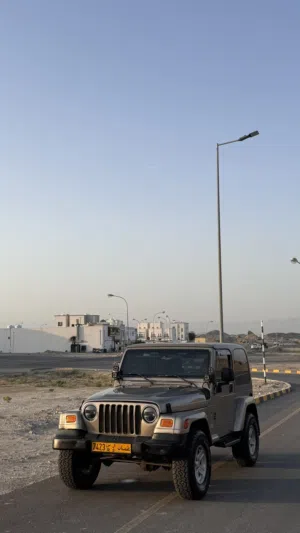 Jeep wrangler tj sahara 2003