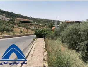 Residential Land for Sale in Amman Mahes