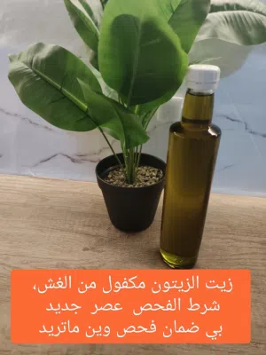 زيت الزيتون شرط الفحص  عصره اولى