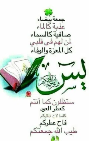 wathik Alsalhi 