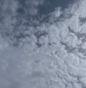 جود 