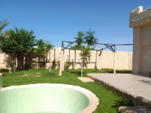 الاستراحة ا