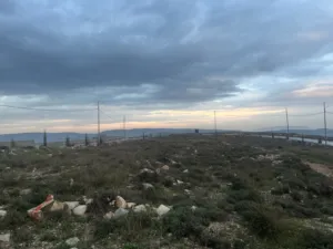 Residential Land for Sale in Nablus Asira Ash-Shamaliya