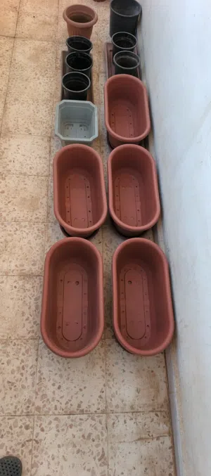 أصيص قوار زريعه عدة أحجام للبيع بسعر طري