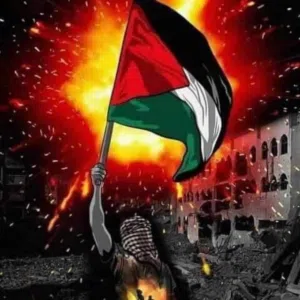 osama hamoo