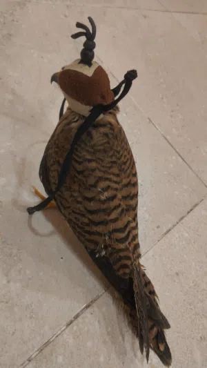 للبيع كمية شراييص نهاية الموسم