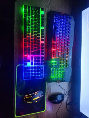 للبيع عرض ممتاز  زوز كيبوردات RGB + زوز موسات كلهم شغالين كويس وفي حالة ممتازة   السعر