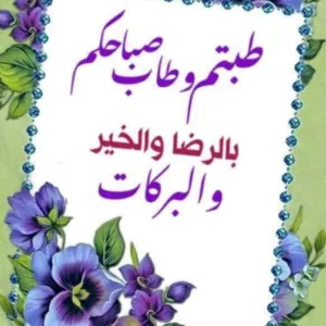 الهاشمي الشمالي 