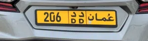 Number plate 206 DD