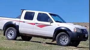 نيسان فرويل