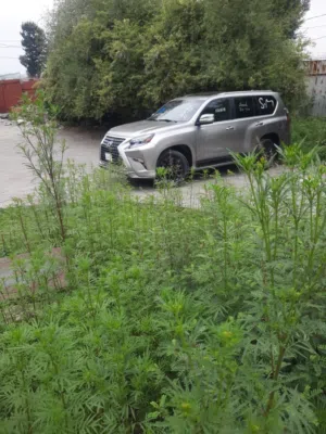 لكزسGX 460 Premium 2021