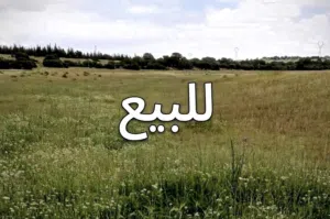 ارض للبيعع