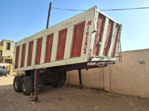 دنبر منيرفا فاقون