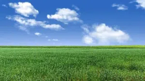 Farm Land for Sale in Jerash Amamah