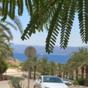albehs 