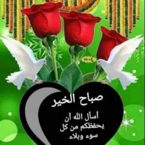 محمد محمد