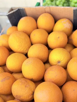 خضار وفواكة طازج يوميا من مستر كيوي