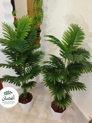 شجره الاريكا الصناعي للبيع