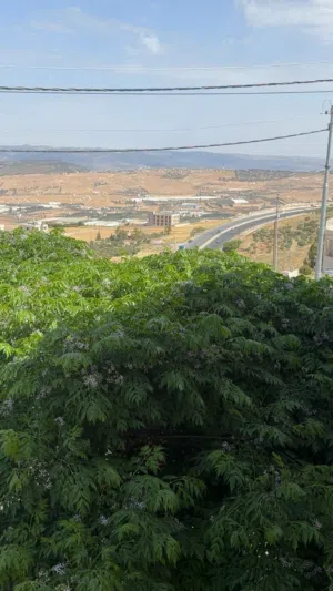 Residential Land for Sale in Amman Abu Nsair