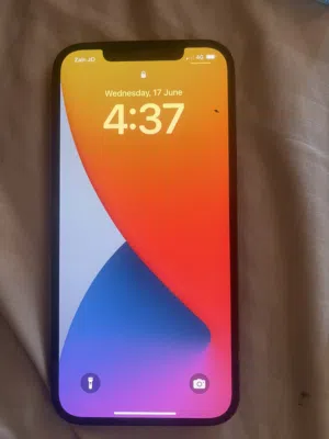 iPhone 12 Pro Max 128 g