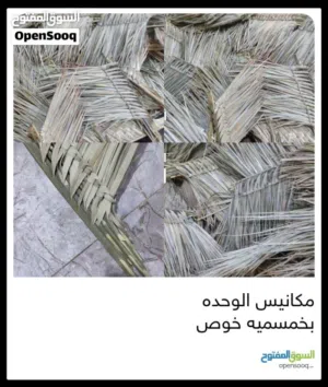 مكانيس خوص الوحده بخمسميه
