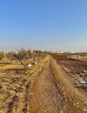 Residential Land for Sale in Irbid Bushra