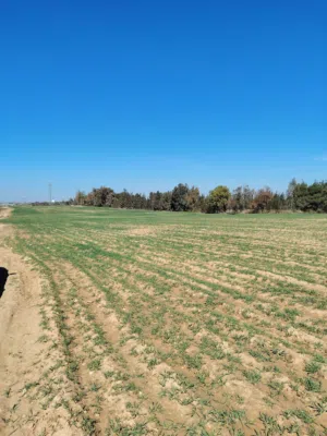 Farm Land for Sale in Amman Al Jizah