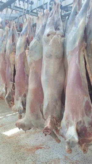 اجواد أنواع اللحوم الكينيه و الخضروات و الفواكهه الطازجه