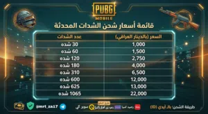 شحن شدات بوبجي متجر MNY