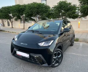 BYD SEGULL 2023