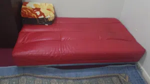 sofa bed (Leather )