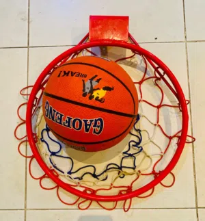 Basket  Ball / Hoop /Net