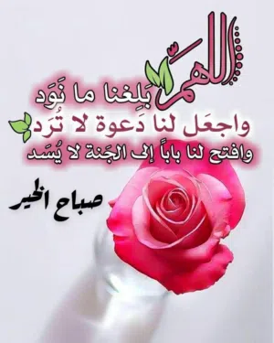 Zahir Khamis 