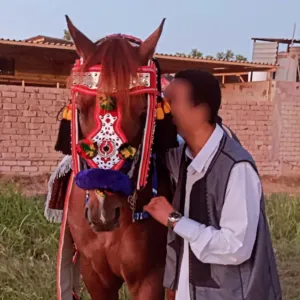 يوسف النعمي 