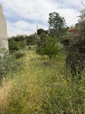 Residential Land for Sale in Amman Bilal
