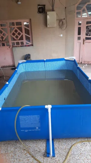 مسبح 3امتار طول و2متر عرض ارتفاعه 75cm