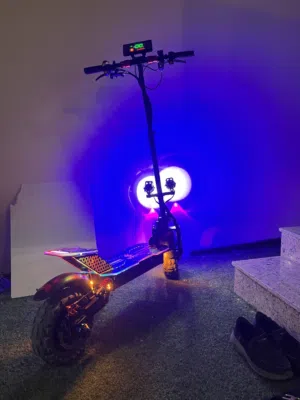 Electric scooter chenxian