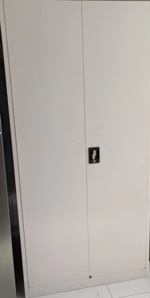 Cabinet with two doors