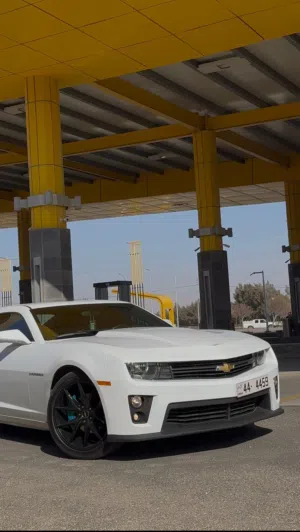 Used Chevrolet Camaro in Amman