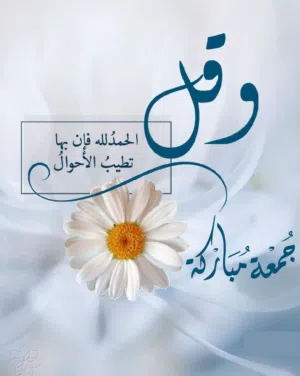 heba ghalwash 