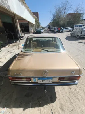 Used Mercedes Benz E-Class in Red Sea