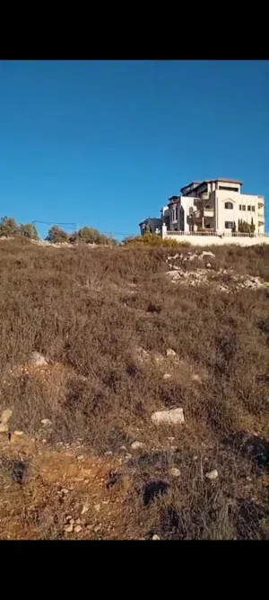 Mixed Use . 525 m2 . Landlord0