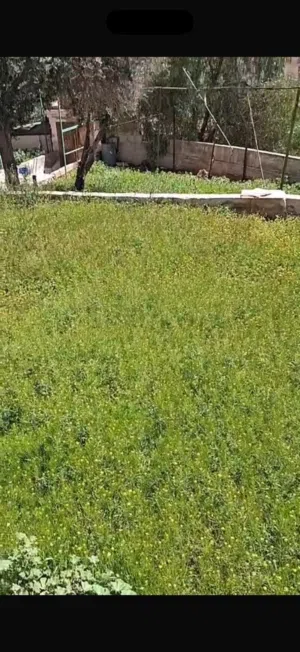 100 m2 2 Bedrooms Townhouse for Sale in Zarqa Wadi Al Hajar