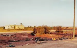 Farm Land for Sale in Benghazi Bu Hadi