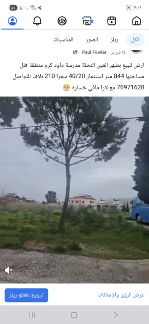 ارض للبيع طرابلس الكورة النخلة