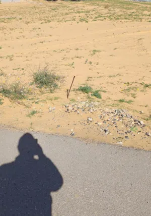 أرض 400 متر للبيع المظل مقابل مسجد المظل