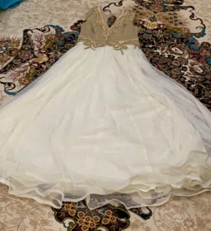 فساتين مستعمله يوم واحد