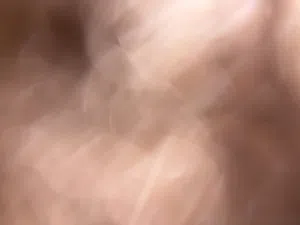 دجاج للبيع