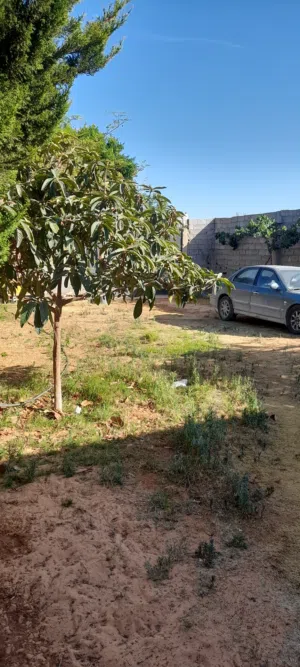 Residential Land for Sale in Tripoli Ain Zara